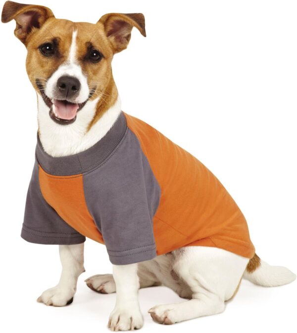 Insect Shield Premium Insect-Repellent Dog T-Shirt (Orange, XL) - Image 3