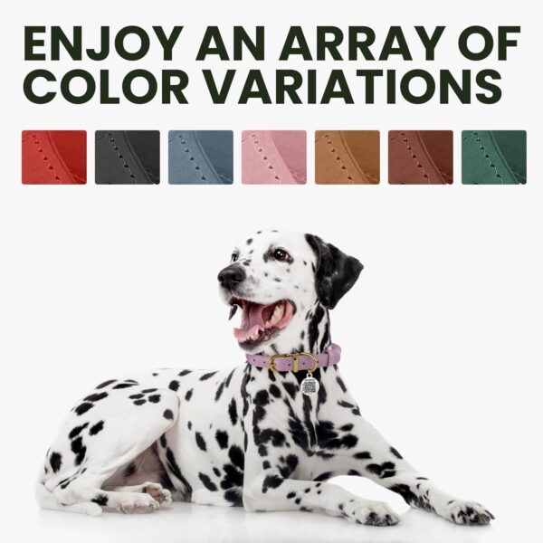 BronzeDog Rolled Leather Dog Collar with QR ID Tag - Image 6