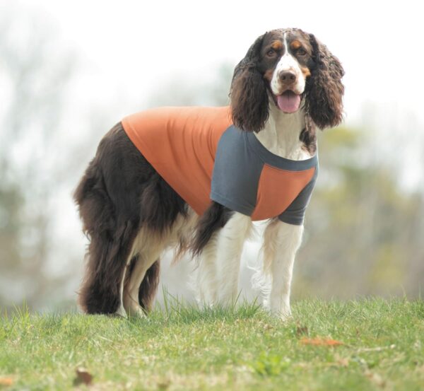 Insect Shield Premium Insect-Repellent Dog T-Shirt (Orange, XL) - Image 4