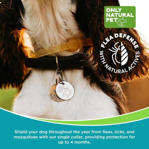 Only Natural Pet 3‑in‑1 Wellness Kit for  4+ Months Dogs - Image 5
