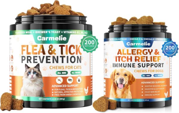 Best Natural Flea Collars For Dogs