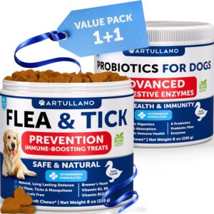 Best Natural Flea Collars For Dogs