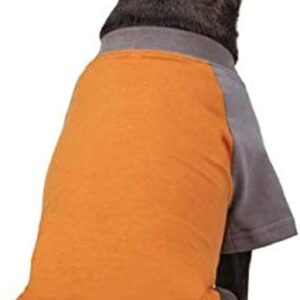 Best Natural Flea Collars For Dogs