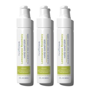 Approved Sanitizers For Food Service