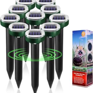 Best Repellents For Animal Digging In Yard