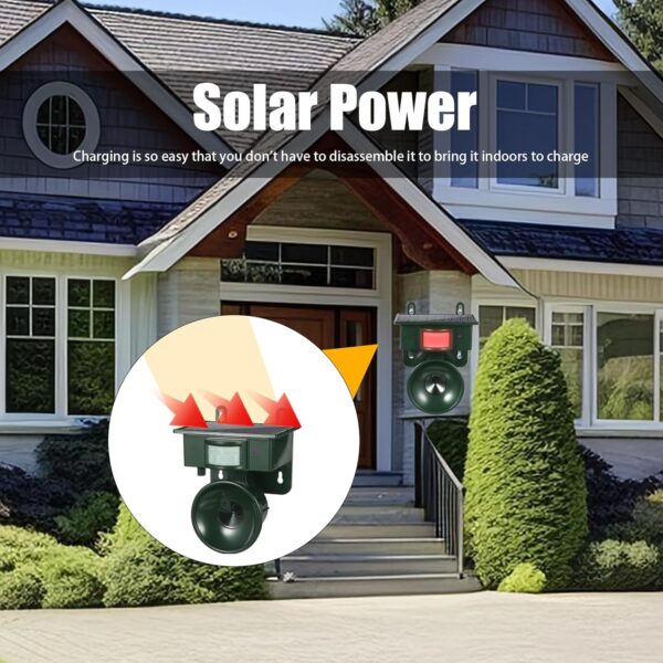 Outdoor Bird Deterrent with Motion Sensor for Pigeons and Woodpeckers - Image 3