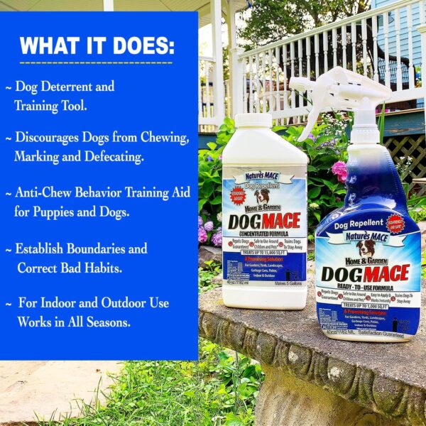 Nature’s MACE Dog Repellent Spray – 1 Gallon, Treats 3,000 sq ft - Image 3