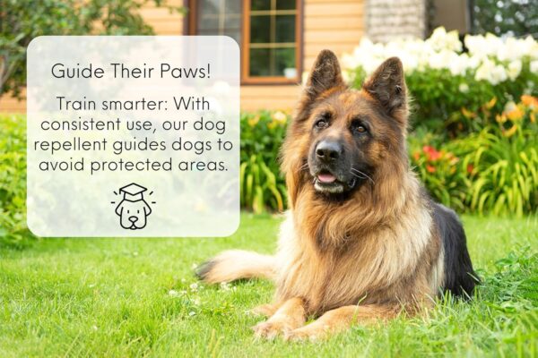 Nature’s MACE Dog Repellent Spray – 1 Gallon, Treats 3,000 sq ft - Image 4