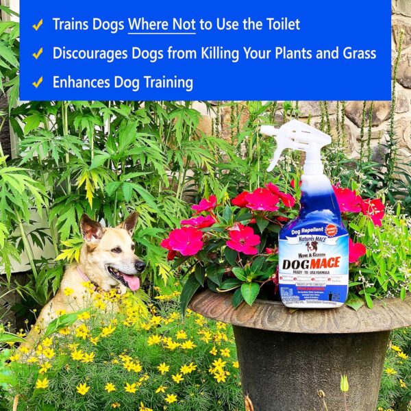 Nature’s MACE Dog Repellent Spray – 1 Gallon, Treats 3,000 sq ft - Image 5
