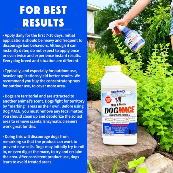 Nature’s MACE Dog Repellent Spray – 1 Gallon, Treats 3,000 sq ft - Image 6