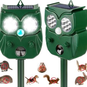 Best Repellents For Animal Digging In Yard