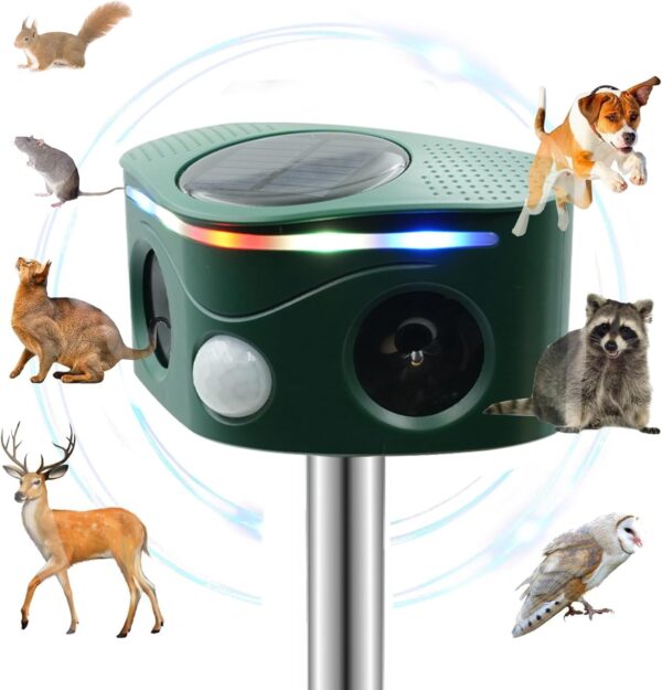 Best Repellents For Animal Digging In Yard