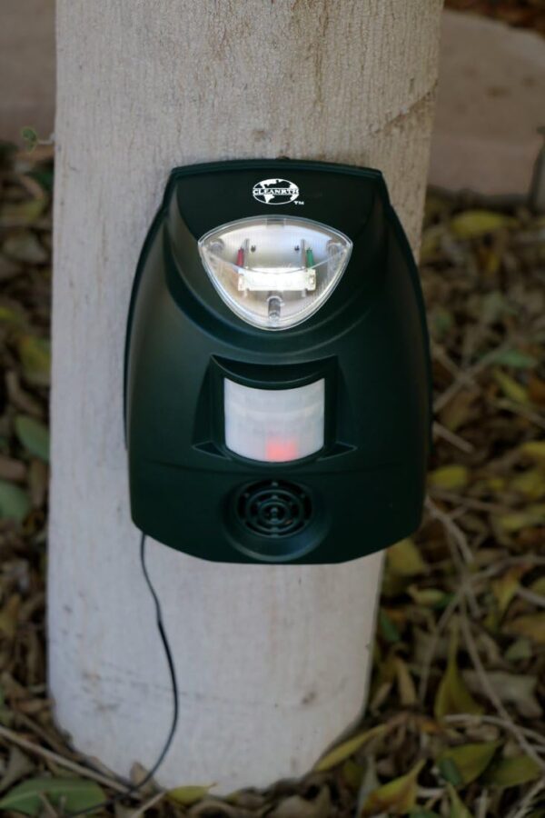 Cleanrth TSBR620 Sonic and Ultrasonic Bird Repeller with Triple Scan Technology - Image 4