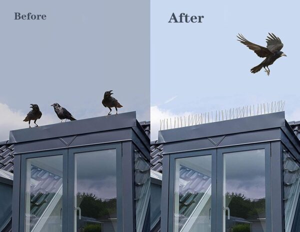 304 Stainless Steel Bird Spikes, 11 ft Pigeon & Small Bird Deterrent, 10 Pack - Image 2
