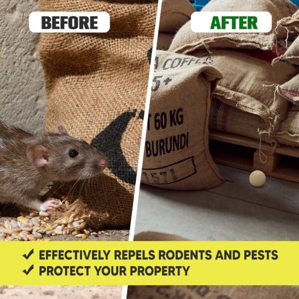 NJYNME Peppermint Pest Control Balls, 8-Pack Natural Rodent and Insect Repellent - Image 3