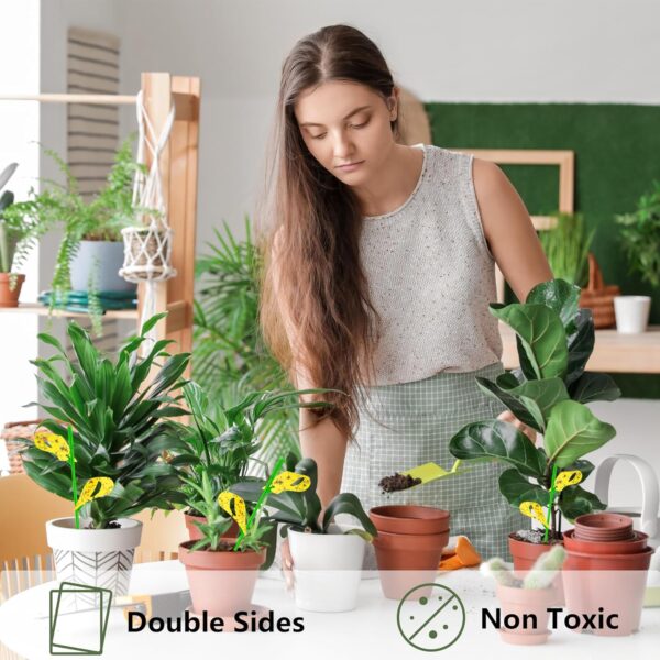 60-Pack Yellow Sticky Traps for Fungus Gnats and Fruit Flies - Image 5