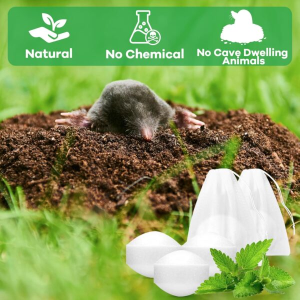 36-Pack Natural Mole & Vole Repellent - Image 3