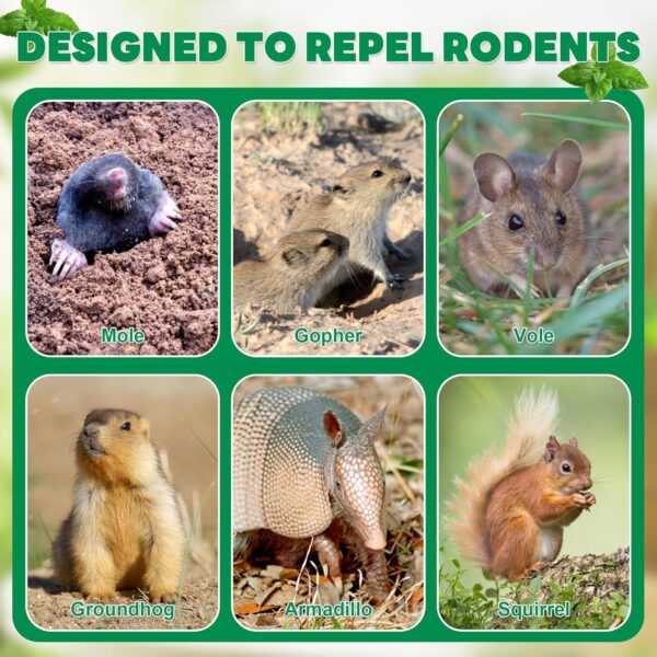 36-Pack Natural Mole & Vole Repellent - Image 4