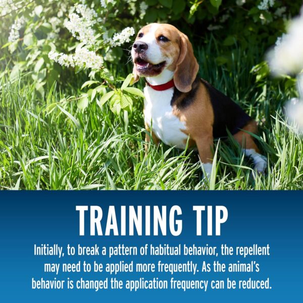 Ready-to-Use Liquid Fence Dog & Cat Repellent for Yard - Image 9