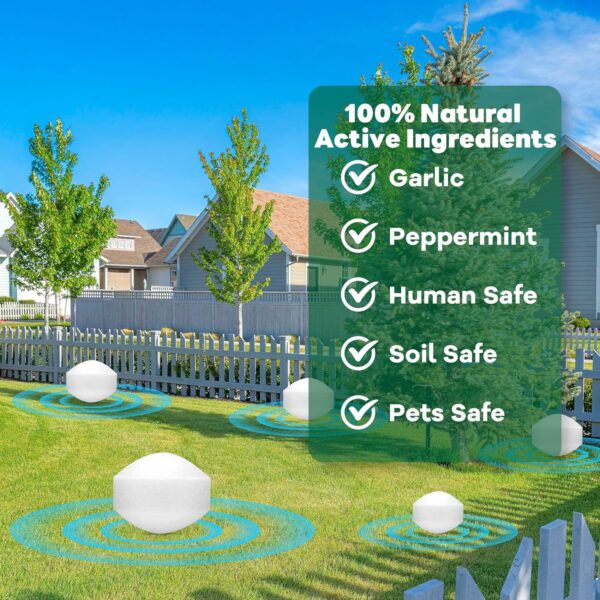 36-Pack Natural Mole & Vole Repellent - Image 5