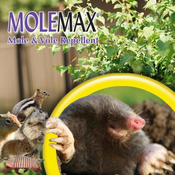 Bonide MOLEMAX 10 lbs Castor Oil Repellent Granules - Image 7