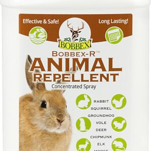 Animal Repellents For Squirrels