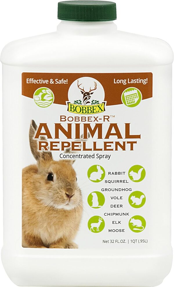 Animal Repellents For Squirrels