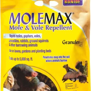 Best Repellents For Animal Digging In Yard