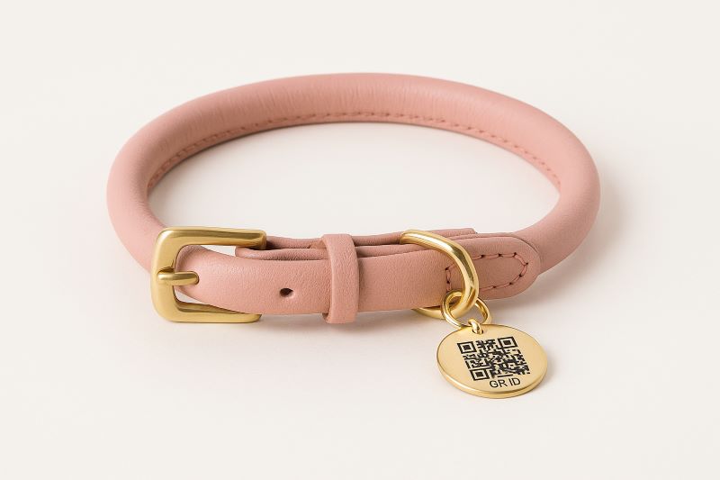 BronzeDog Rolled Leather Dog Collar with QR ID Tag in Blush