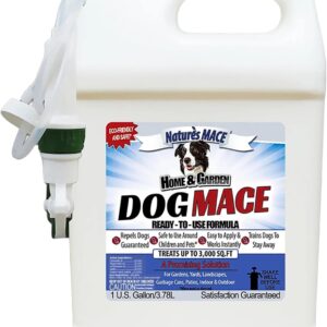 Best Repellents For Animal Digging In Yard