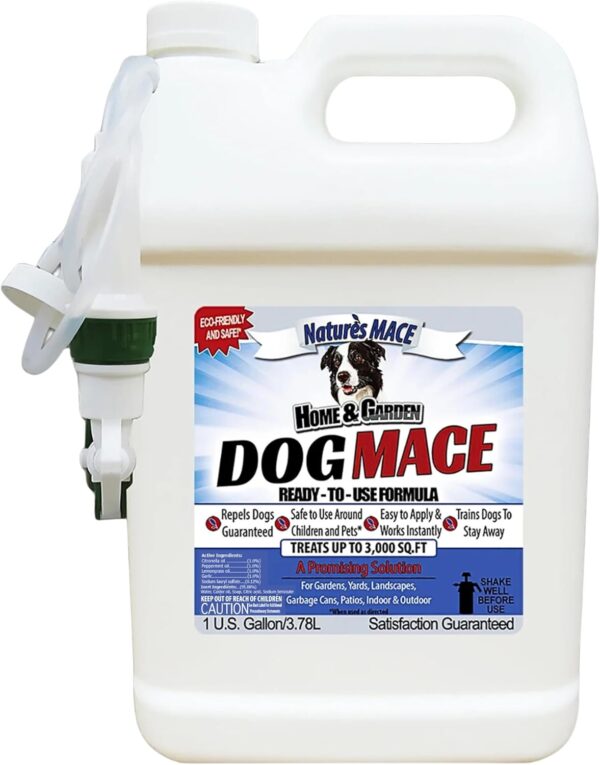 Best Repellents For Animal Digging In Yard
