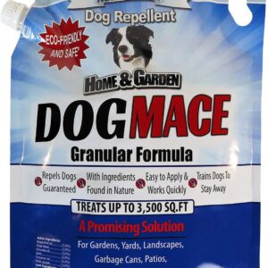 Best Repellents For Animal Digging In Yard
