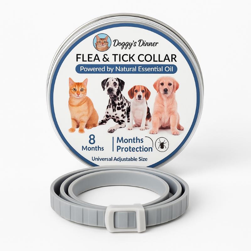 8‑Month Protection Long‑Lasting Natural Flea & Tick Collar for pets