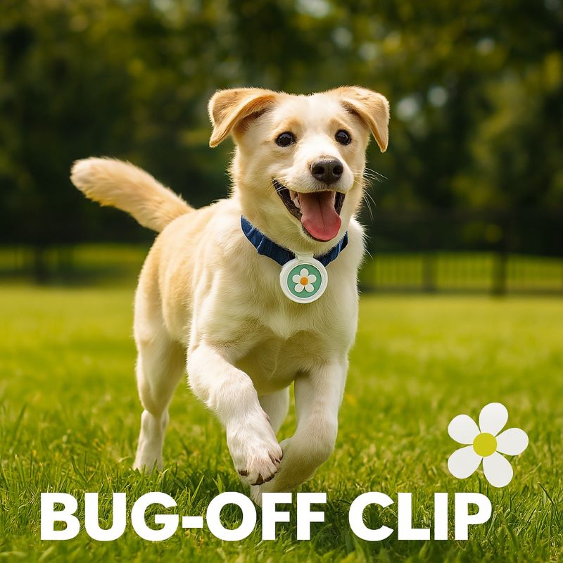 Bug‑Off Clip Natural Flea, Tick & Mosquito Repellent Collar for Dog