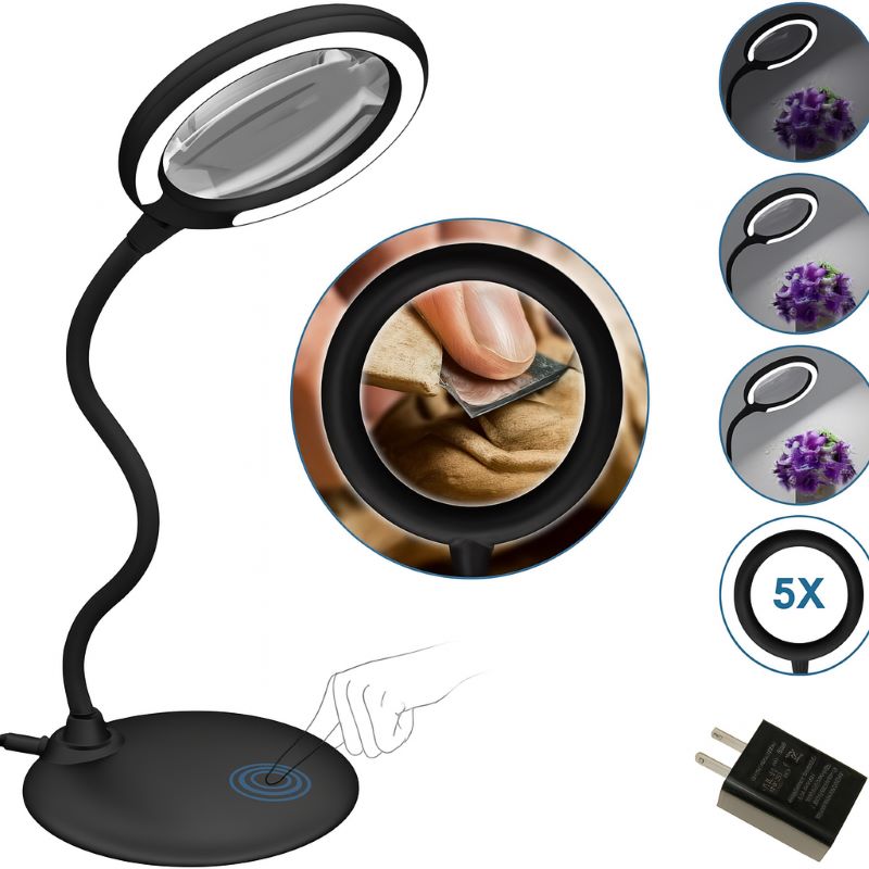 Delixike 5X Magnifying Glass with Light & Stand