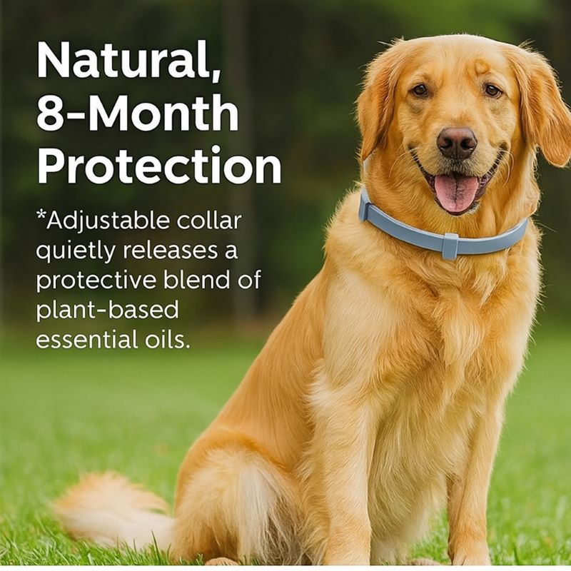 Natural 8‑Month Flea & Tick Collar for Dogs