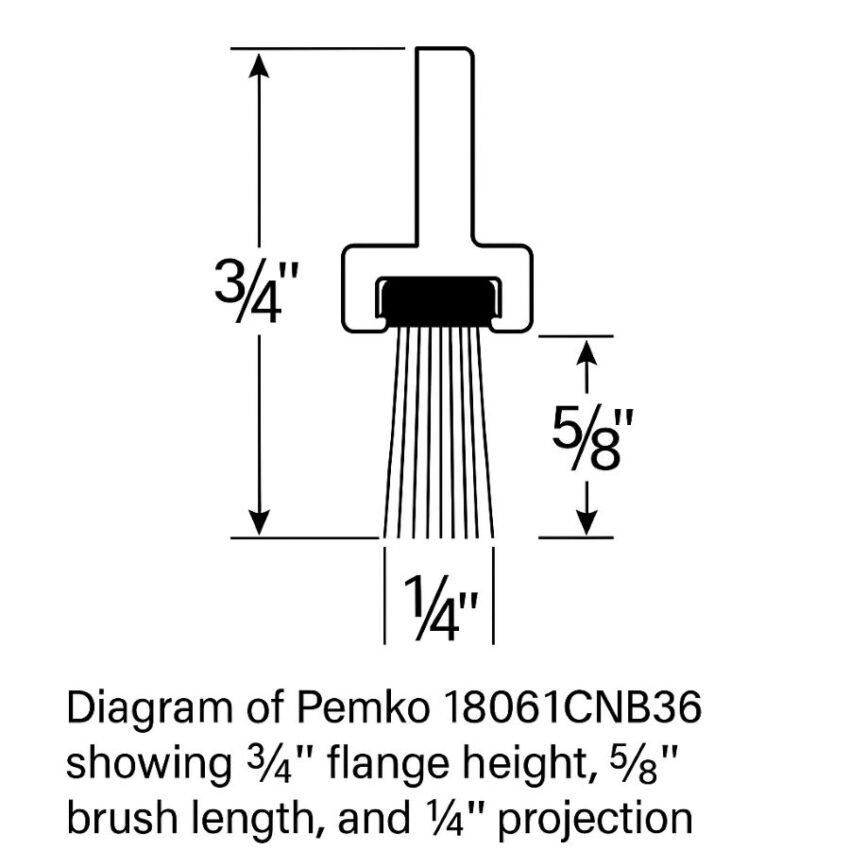 Diagram of Pemko 18061CNB36 showing ¾″ flange height, ⅝″ brush length, and ¼″ projection dimensions