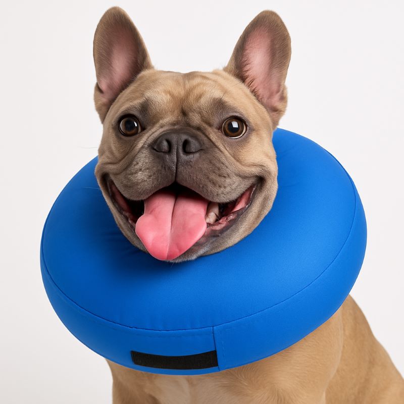 Supet Inflatable Donut Post‑Surgery Collar For Dogs