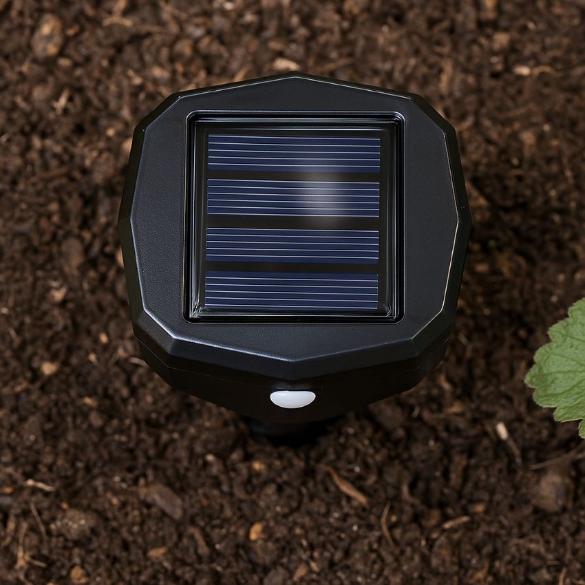 Close overhead shot of a solar repeller in a flower bed, highlighting device housing, solar charging panel and surrounding soil