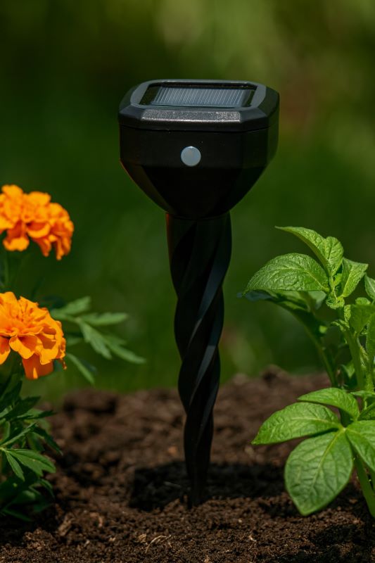 Solar mole repeller stake placed among garden plants and soil, illustrating scale and integration among flowers or vegetables.