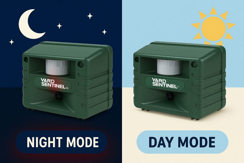 Split image showing Yard Sentinel flashing red LED at night, idle in day mode