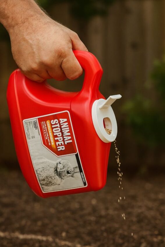 5 lb Animal Stopper shaker jug dispensing granules.