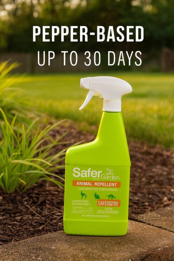 Critter Ridder 32 oz ready-to-use spray beside a mulched garden edge that has been treated