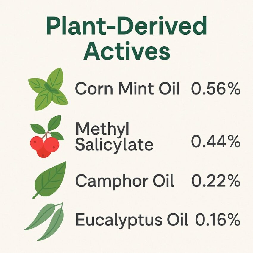 Infographic of Mint-X plant-derived actives with label percentages.