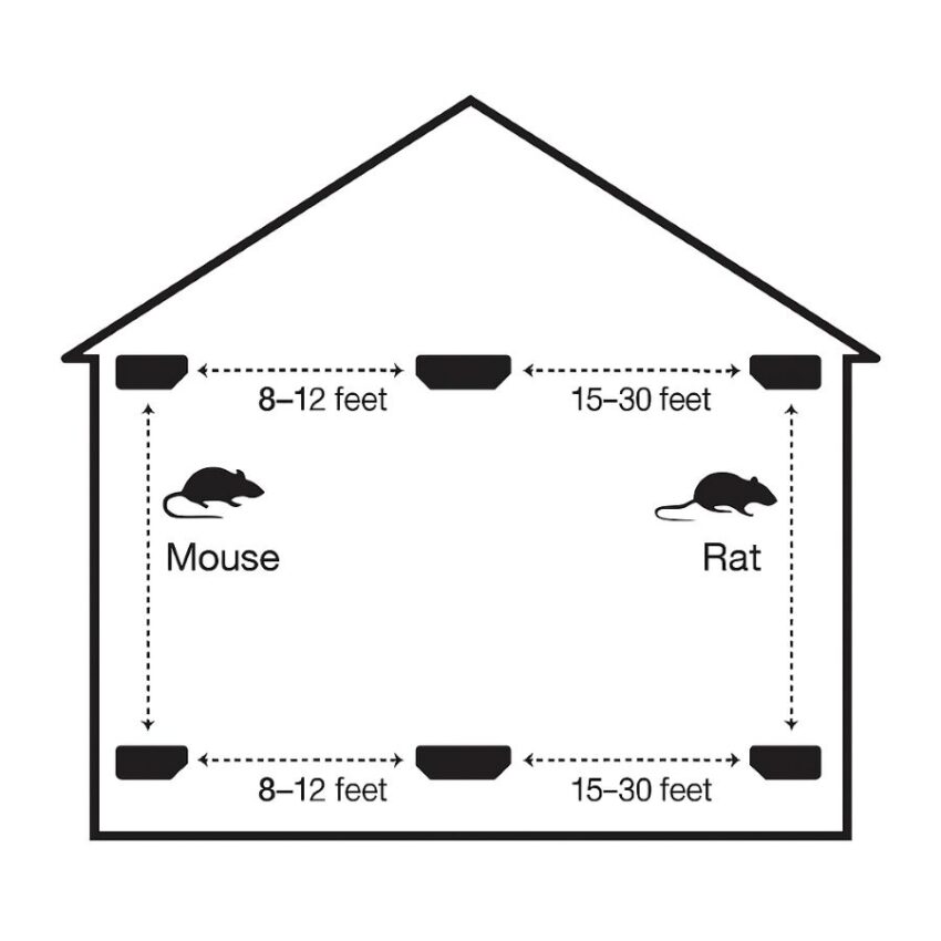 Placement map showing mouse stations every 8–12 feet and rat stations every 15–30 feet along walls.