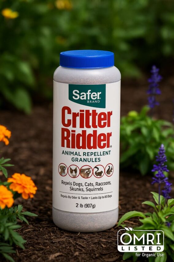 Safer Brand Critter Ridder Animal Repellent Granules, 2 lb canister in a garden bed, OMRI Listed for organic use