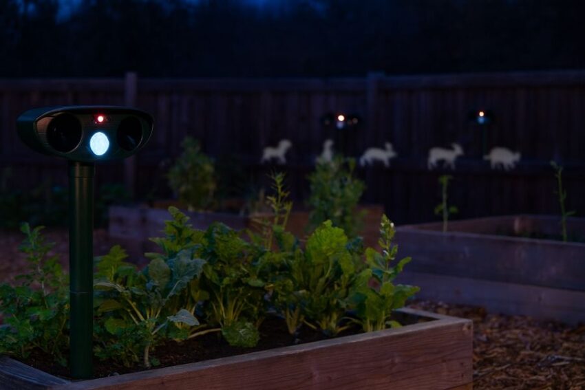 Solar ultrasonic animal repellent 4-pack creating a quiet perimeter around a backyard garden at dusk