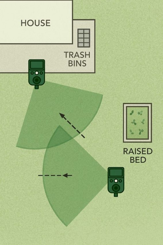 Top-down plan showing two ultrasonic repellers with overlapping cones covering garden approaches